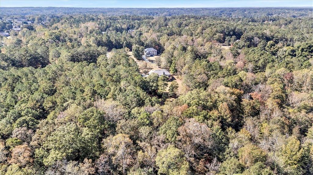 590 Eskew Road McDonough, GA 30252 - Photo 58 of 59 an aerial view of forest