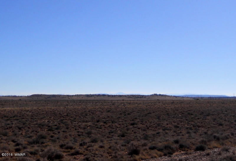 5617 White Antelope Road Snowflake, AZ 85937 - Photo 32 of 32 Gallery Image 32