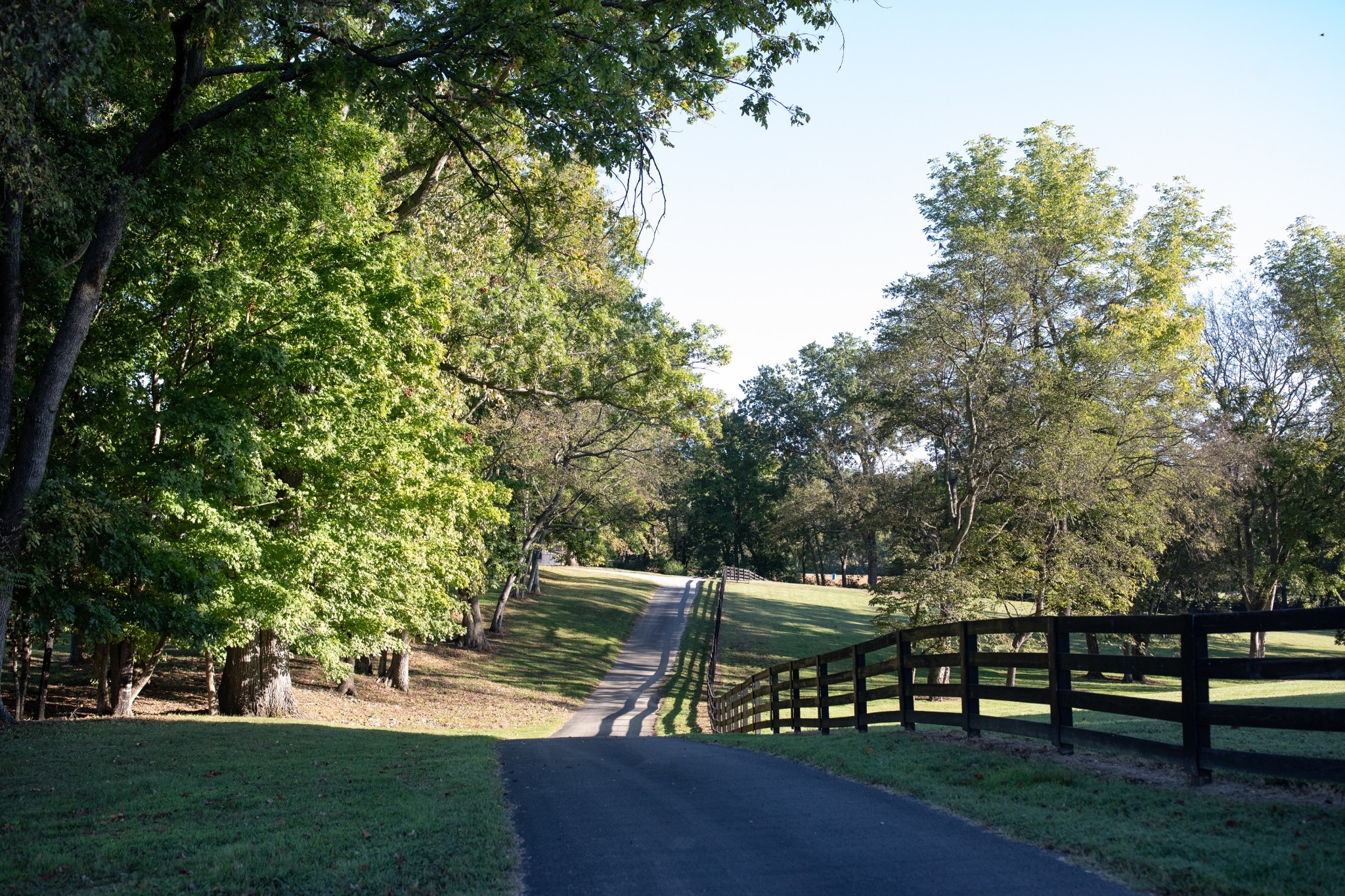 4025 Nestledown Drive Franklin, TN 37067 - Photo 11 of 57 a view of a park with bench and trees