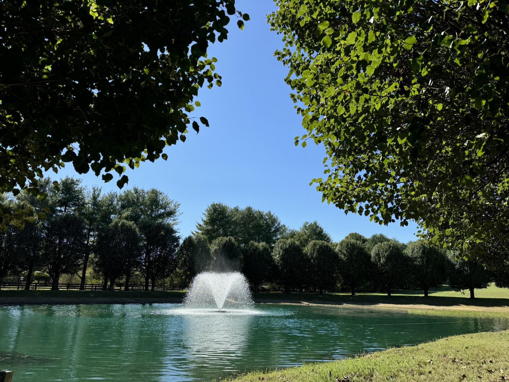 4025 Nestledown Drive Franklin, TN 37067 - Photo 2 of 57