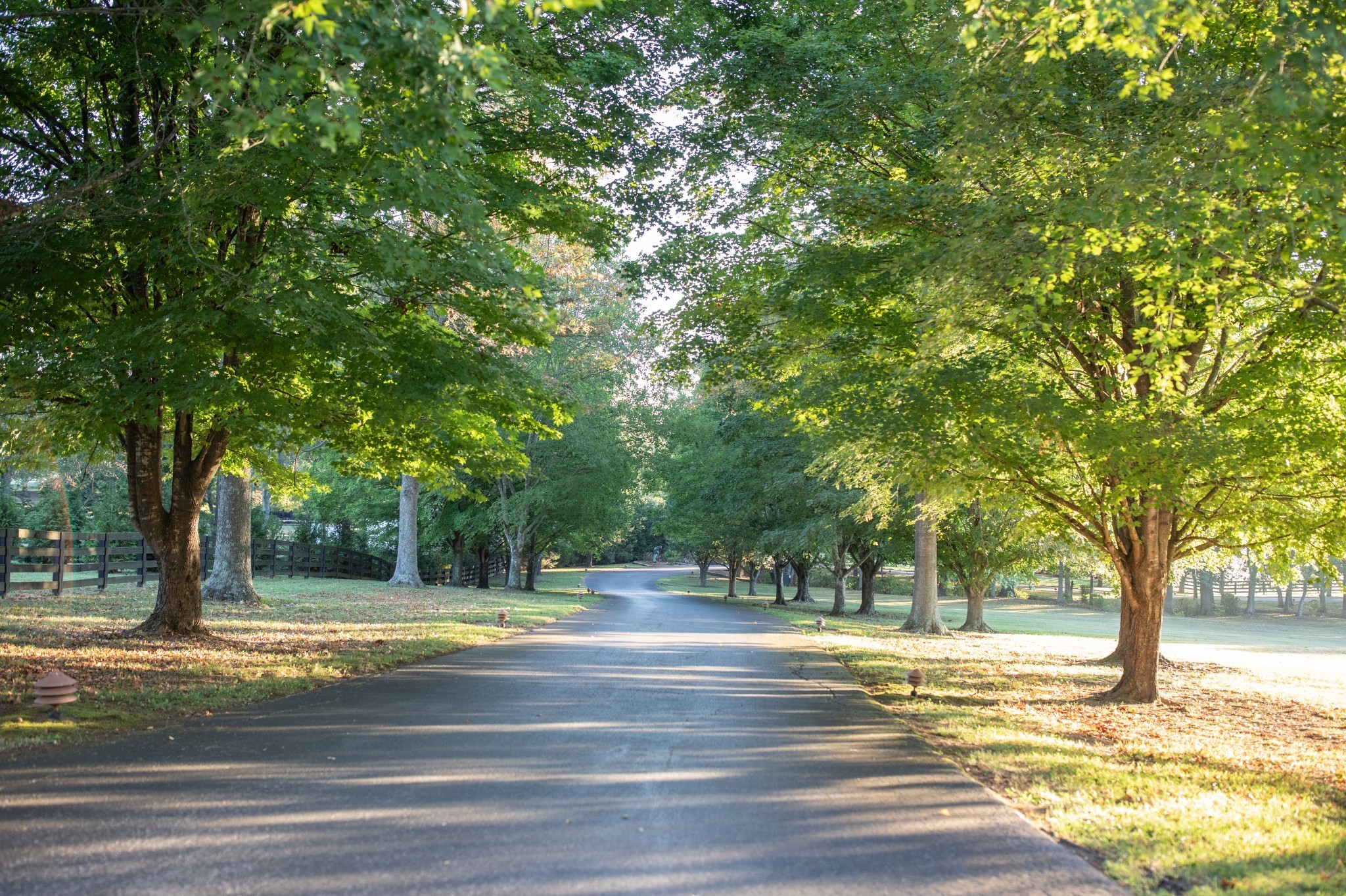 4025 Nestledown Drive Franklin, TN 37067 - Photo 21 of 57 a view of street with trees