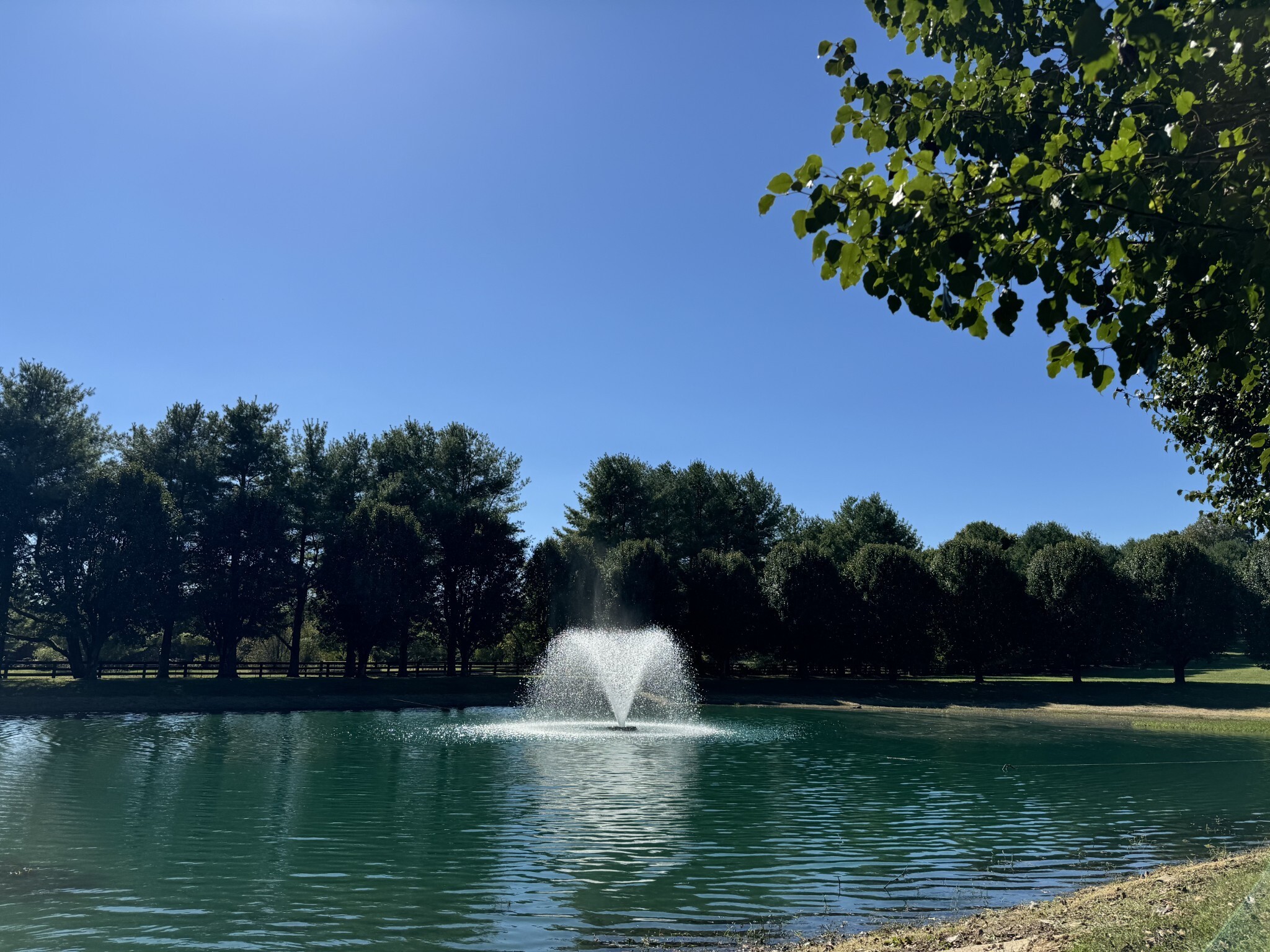 4025 Nestledown Drive Franklin, TN 37067 - Photo 46 of 57