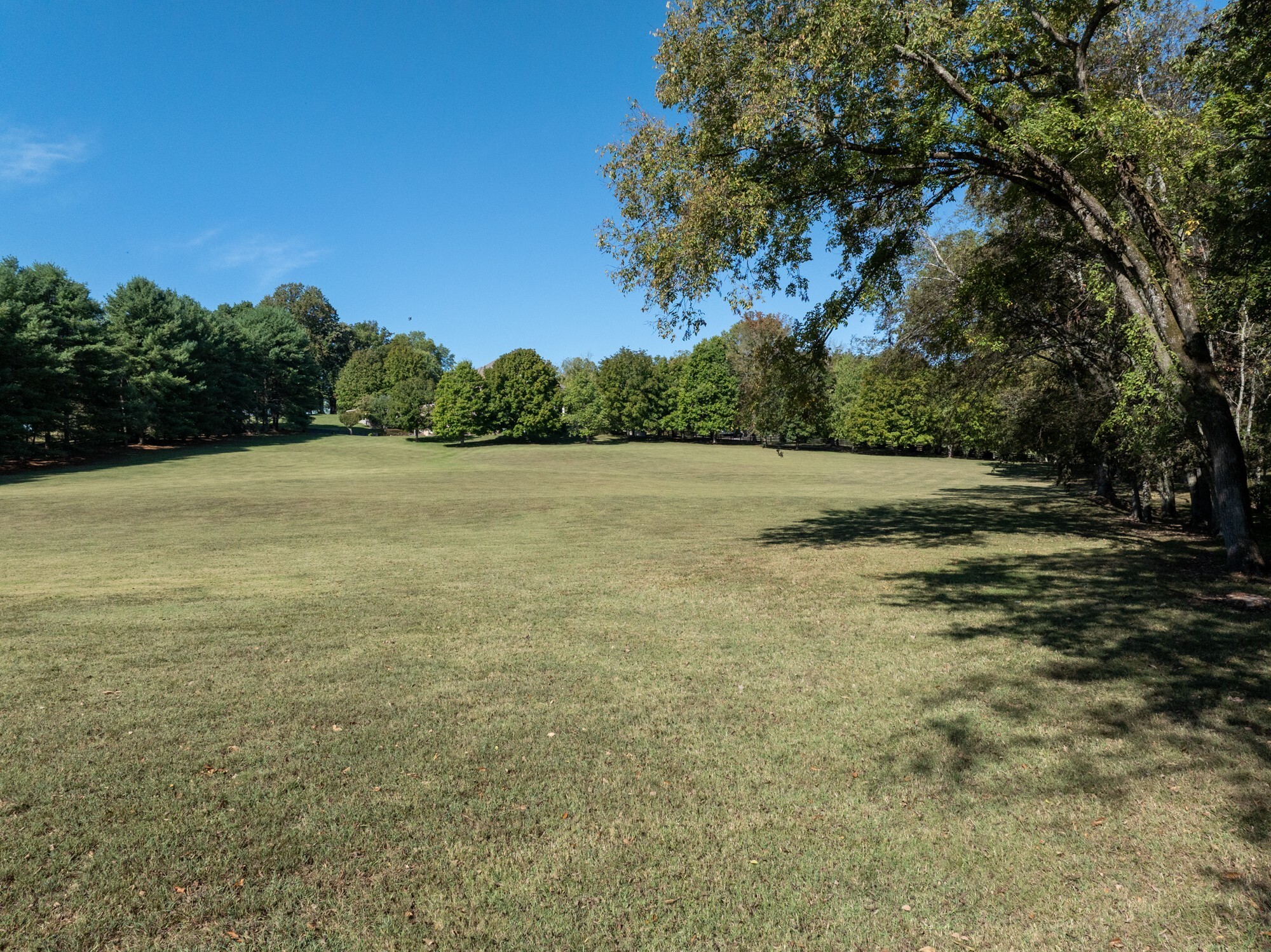4025 Nestledown Drive Franklin, TN 37067 - Photo 56 of 57 a view of beach with large trees and trees in the background