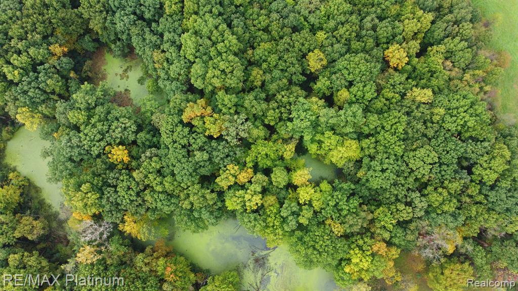 Vl Silverton Road Whitmore Lake, MI 48189 - Photo 8 of 10