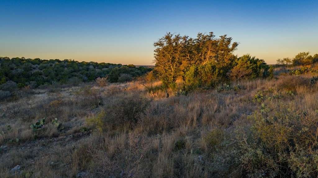 917 Bear Springs Road Mason, TX 76856 - Photo 6 of 38 a view of a yard