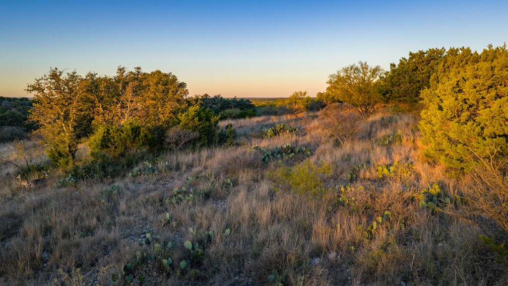 917 Bear Springs Road Mason, TX 76856 - Photo 7 of 38 a view of a yard and mountain in the back