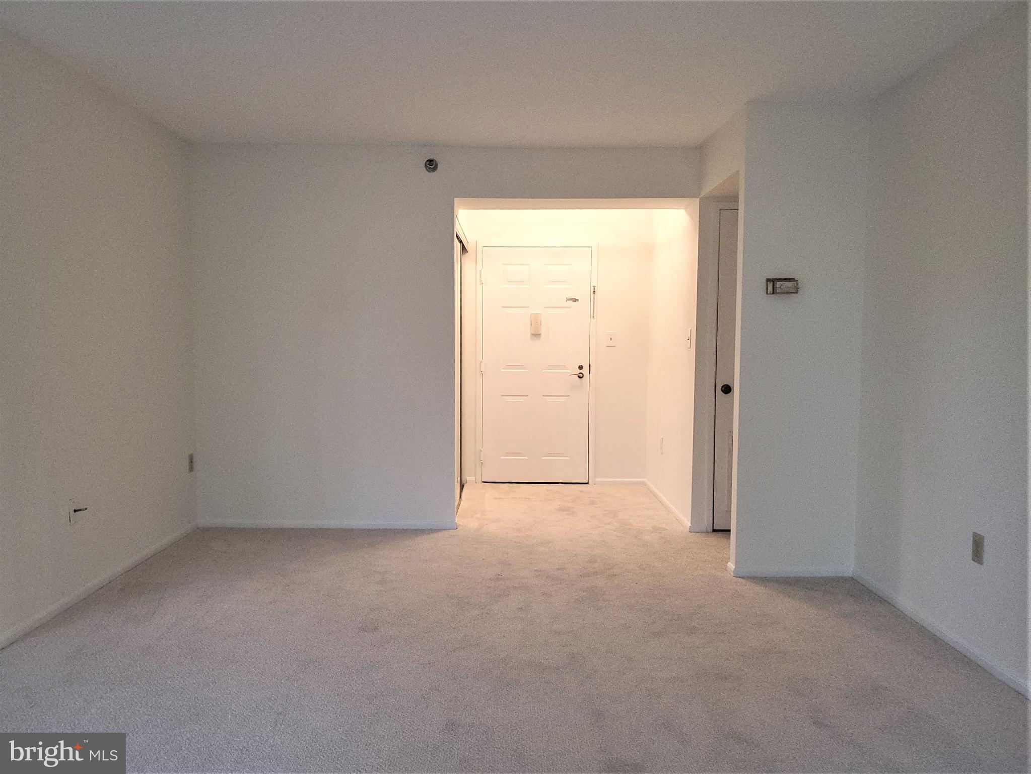 15100 Interlachen Drive, Unit 4516 Silver Spring, MD 20906 - Photo 8 of 28 Entrance Foyer