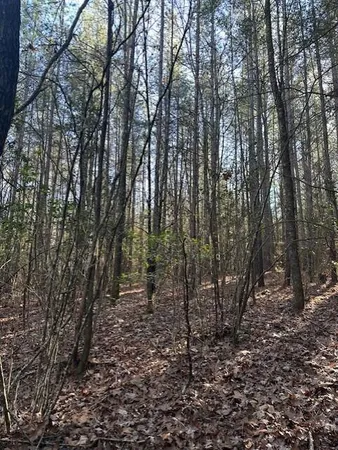 $85,000 | 7 50th Avenue, Unit TRACT 7, Gruetli Laager, TN 37339