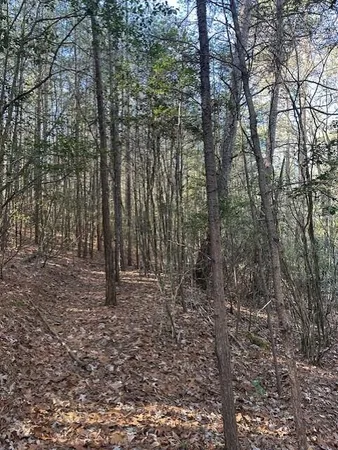 $85,000 | 7 50th Avenue, Unit TRACT 7, Gruetli Laager, TN 37339