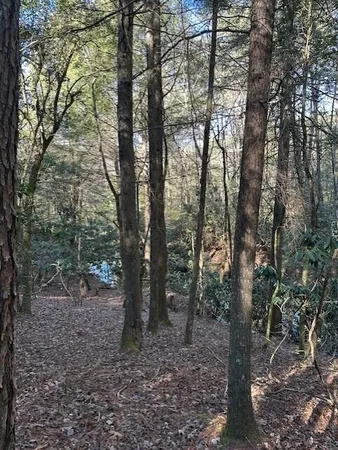 $85,000 | 7 50th Avenue, Unit TRACT 7, Gruetli Laager, TN 37339