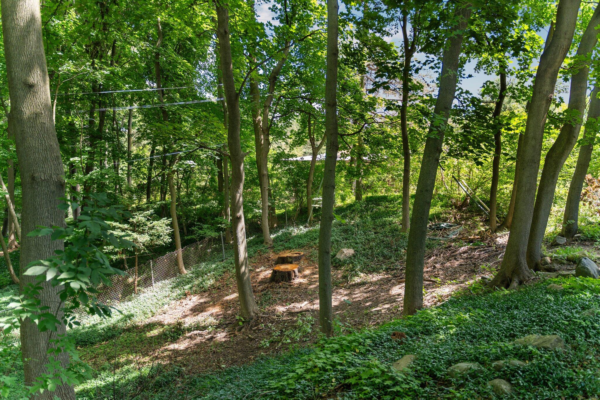 819 Avon Road Ann Arbor, MI 48104 - Photo 53 of 66 81-web-or-mls-APH00380