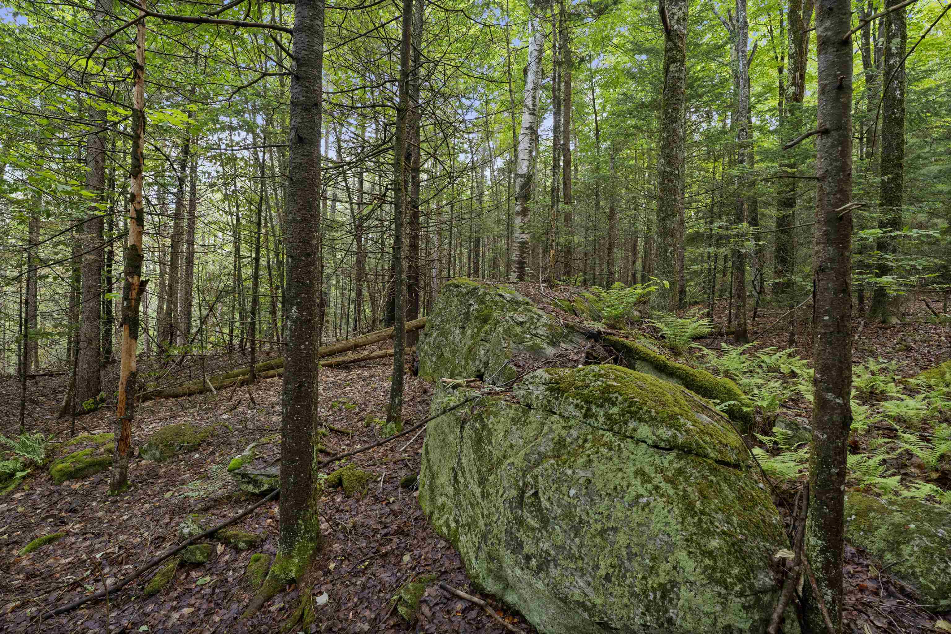 11 Old County Road East Landgrove, VT 05148 - Photo 6 of 10
