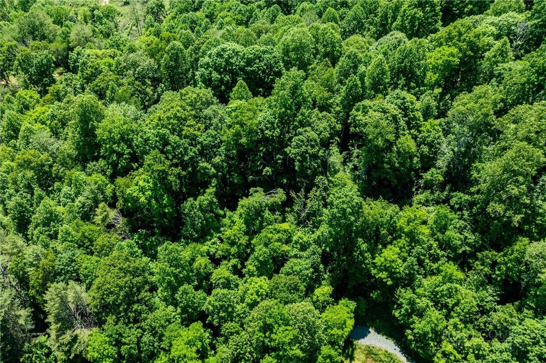 Smith Street Vilas, NC 28692 - Photo 26 of 36
