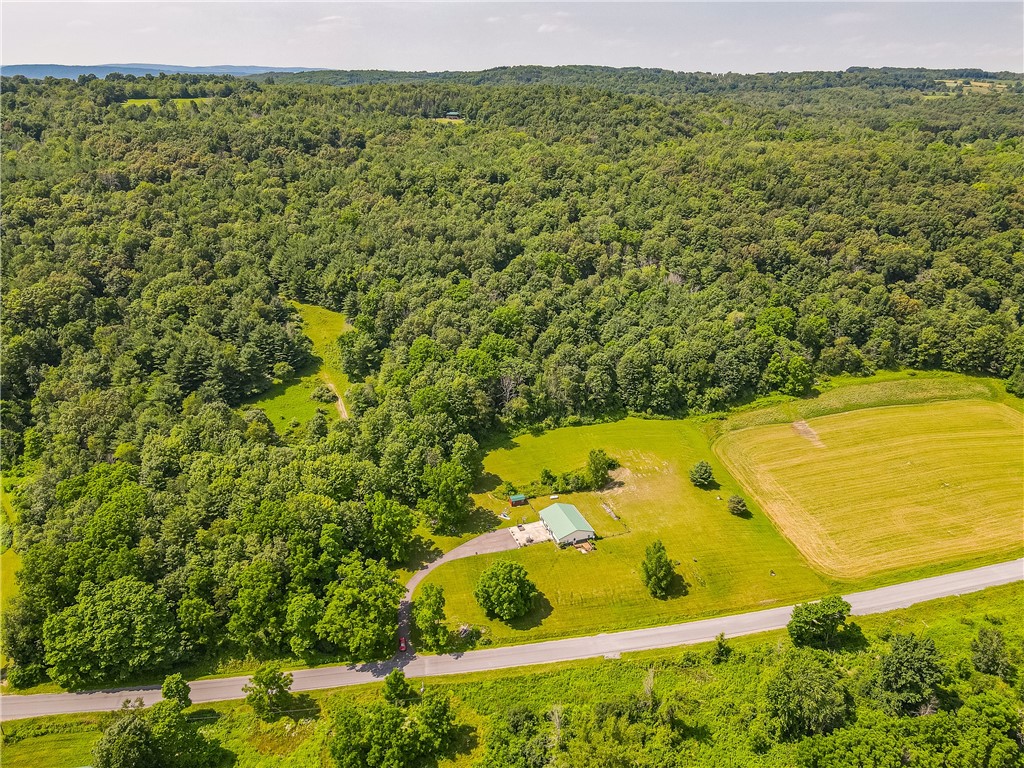1354 Phelps Road Potter, NY 14507 - Photo 23 of 33