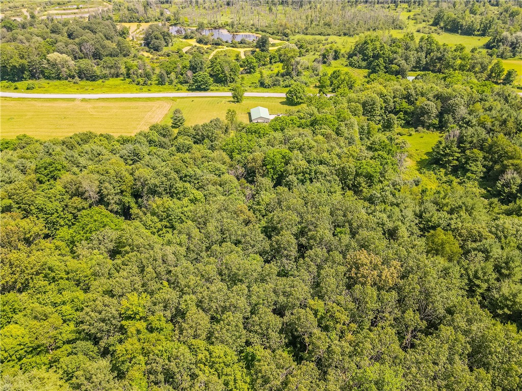 1354 Phelps Road Potter, NY 14507 - Photo 26 of 33