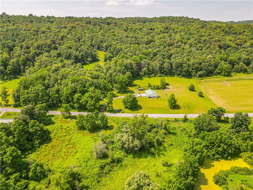 1354 Phelps Road Potter, NY 14507 - Photo 28 of 33