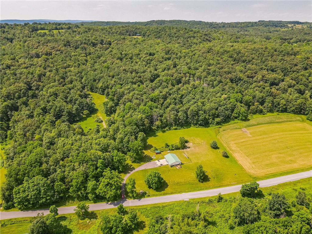 1354 Phelps Road Potter, NY 14507 - Photo 32 of 33