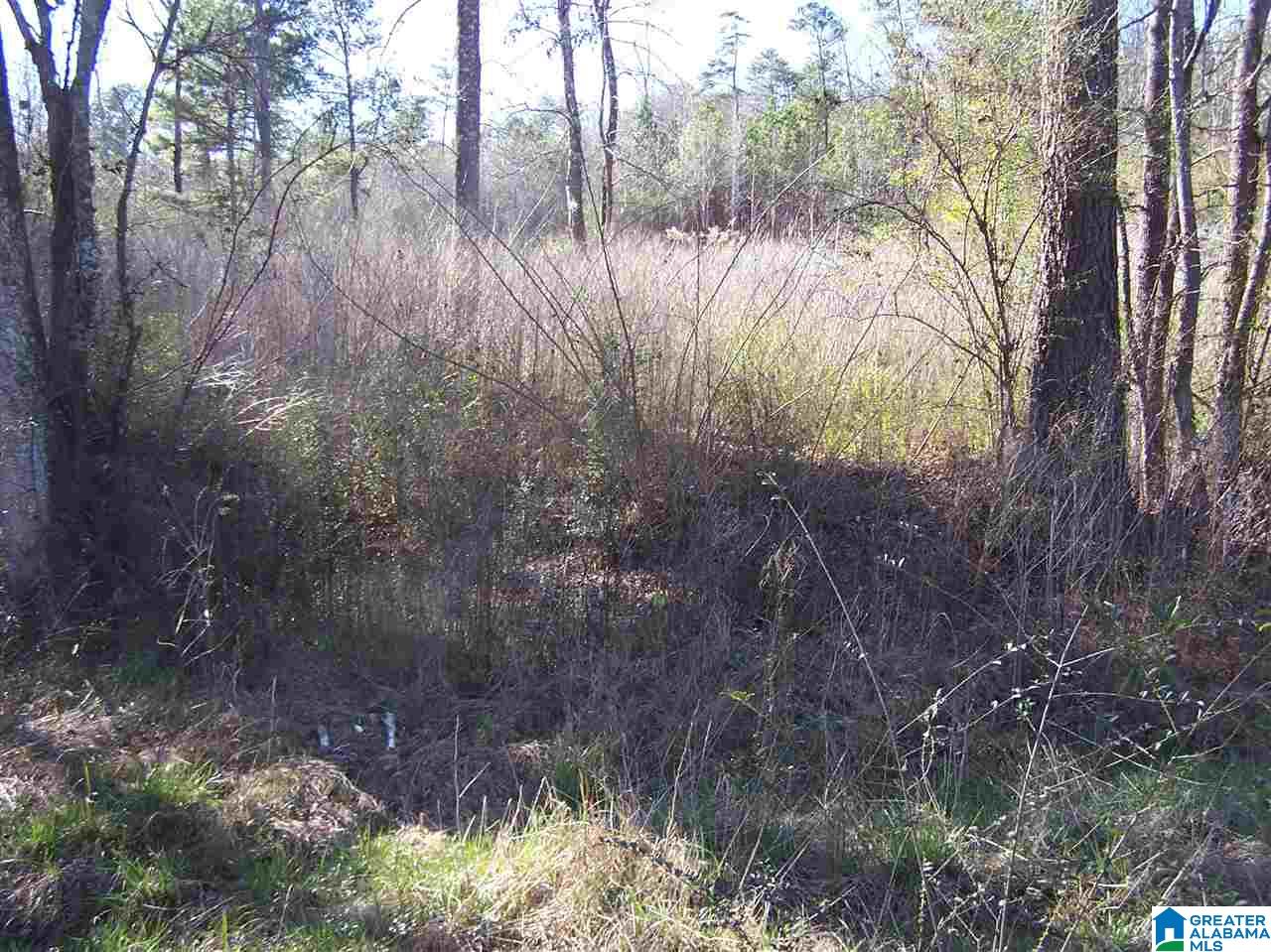 4136 Powder Mill Road Mount Olive, AL 35117 - Photo 5 of 10