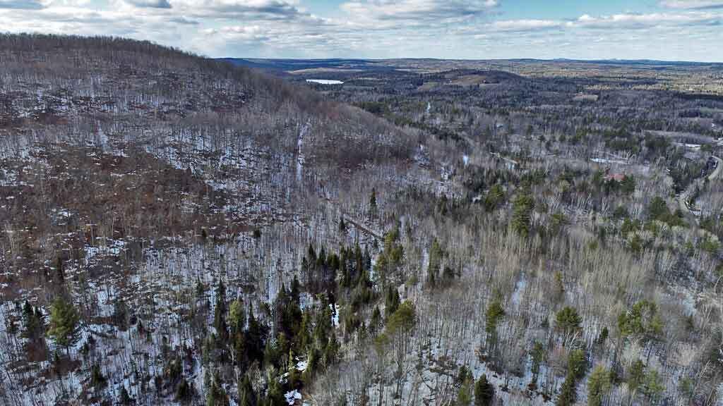 Lot 11 Drews Mill Road Houlton, ME 04730 - Photo 12 of 17 maine-land-aroostook