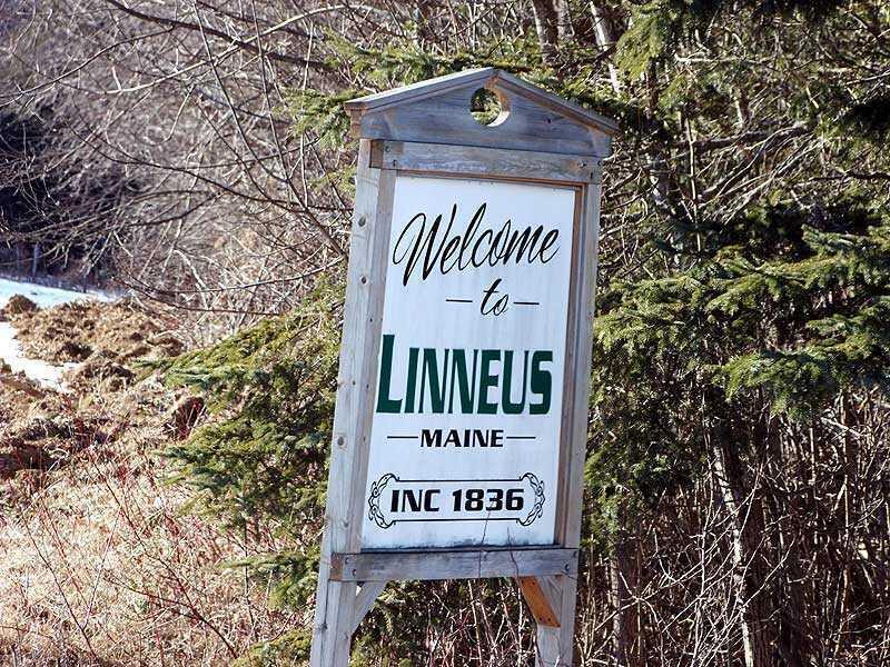 Lot 11 Drews Mill Road Houlton, ME 04730 - Photo 16 of 17 linneus