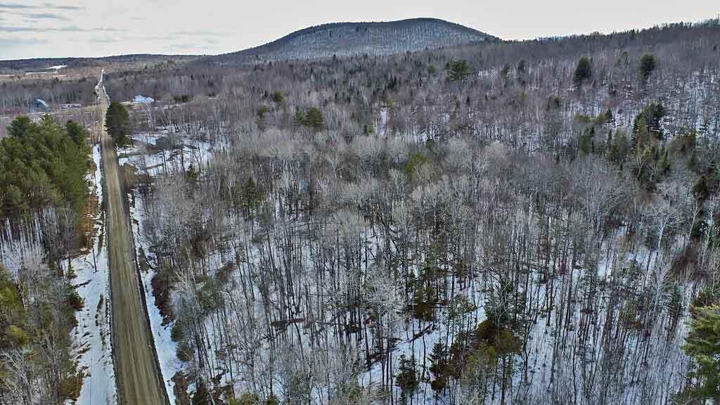 Lot 11 Drews Mill Road Houlton, ME 04730 - Photo 3 of 17 forest-land-me-aerial