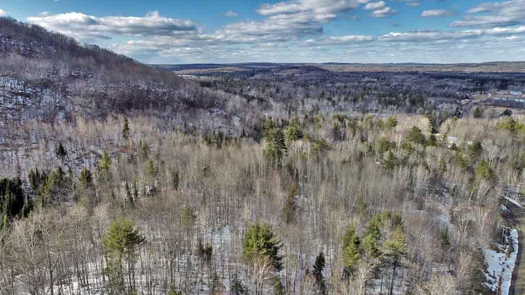 Lot 11 Drews Mill Road Houlton, ME 04730 - Photo 9 of 17 hardwood-trees-me-land