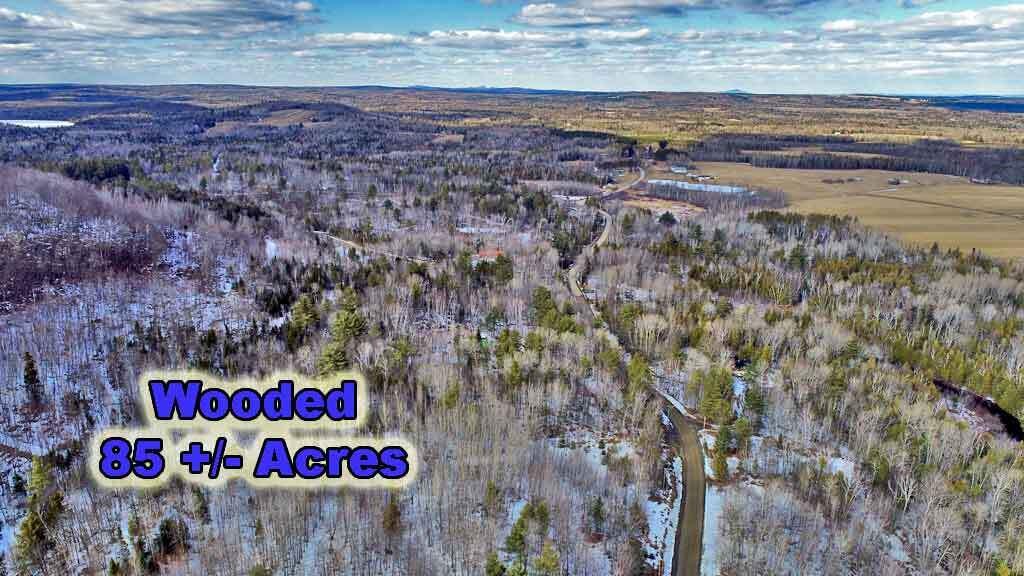 Lot 11 Drews Mill Road Houlton, ME 04730 - Photo 10 of 17 land-forest-woodlot
