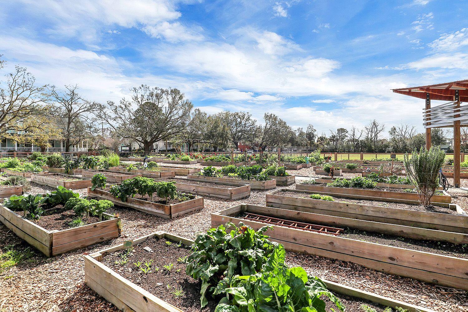 208 Gordon Street Charleston, SC 29403 - Photo 105 of 105 Corrine Jones Park 4