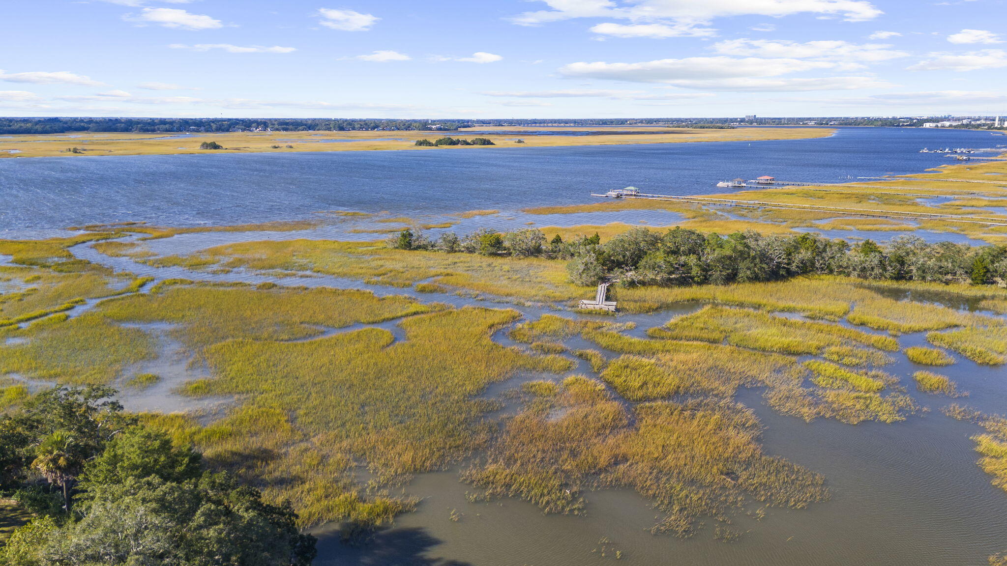 208 Gordon Street Charleston, SC 29403 - Photo 81 of 105 208 Gordon Street-15
