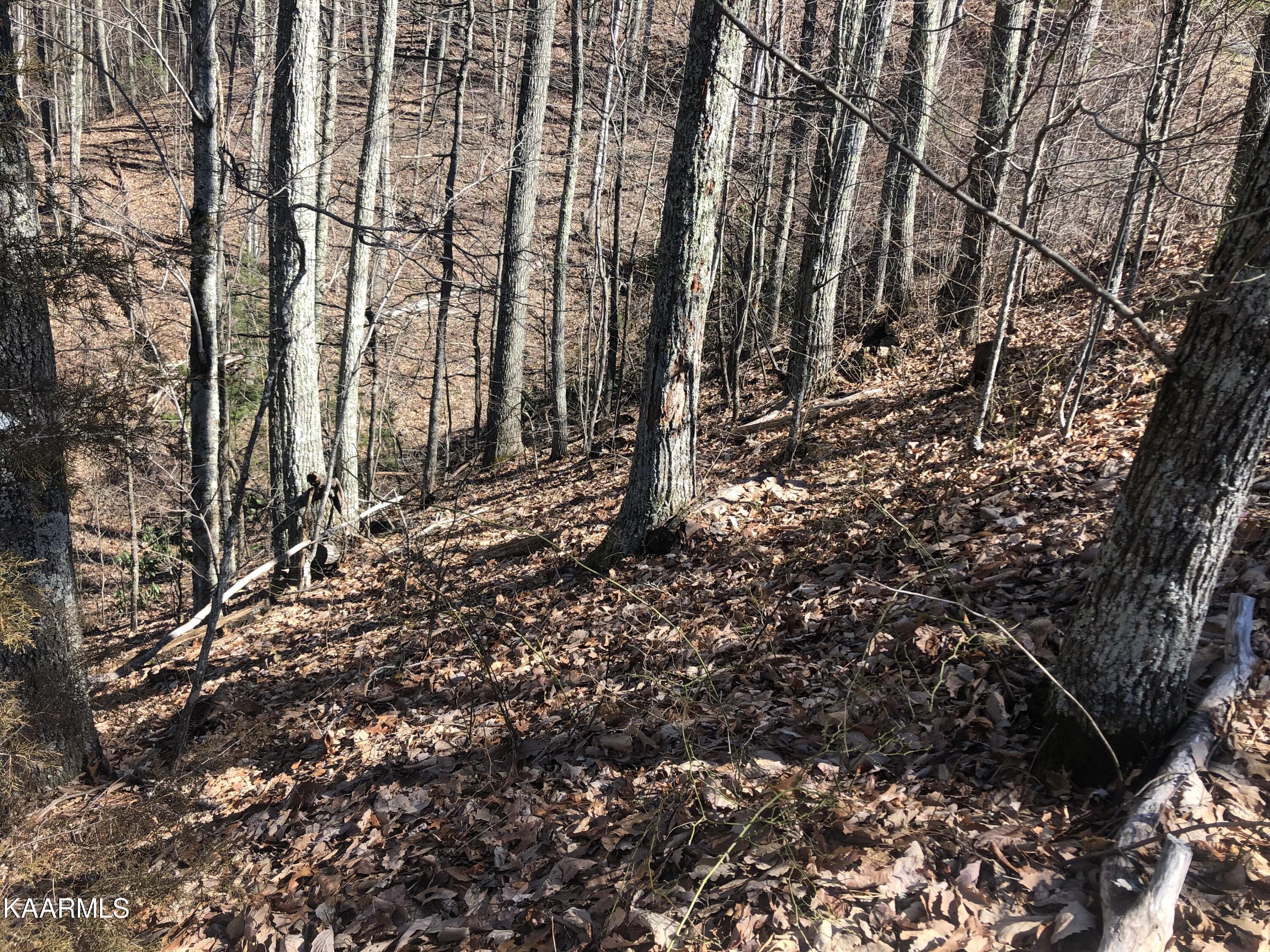 Lot 22 Eagle Point Sevierville, TN 37876 - Photo 3 of 10 IMG_0539