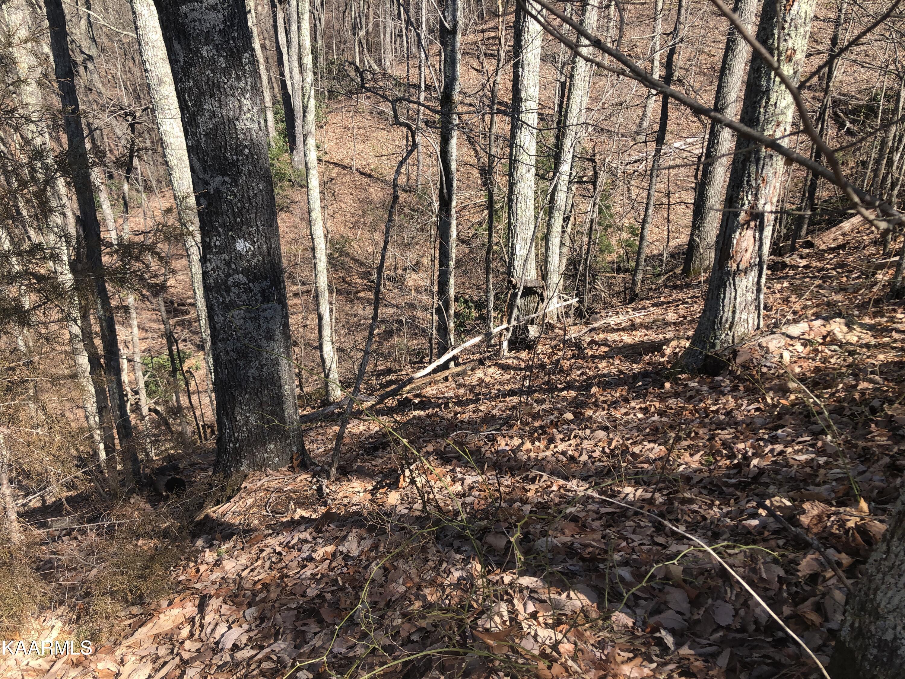 Lot 22 Eagle Point Sevierville, TN 37876 - Photo 8 of 10 IMG_0545