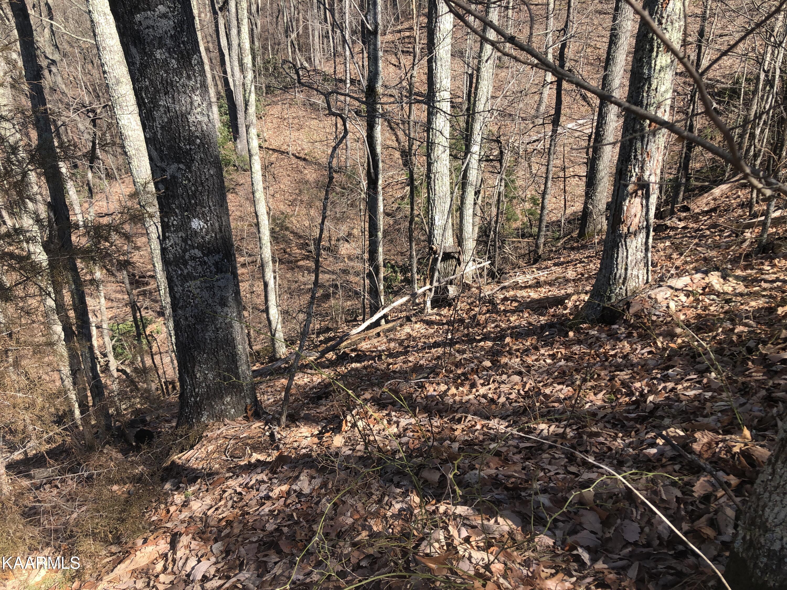 Lot 22 Eagle Point Sevierville, TN 37876 - Photo 9 of 10 IMG_0547