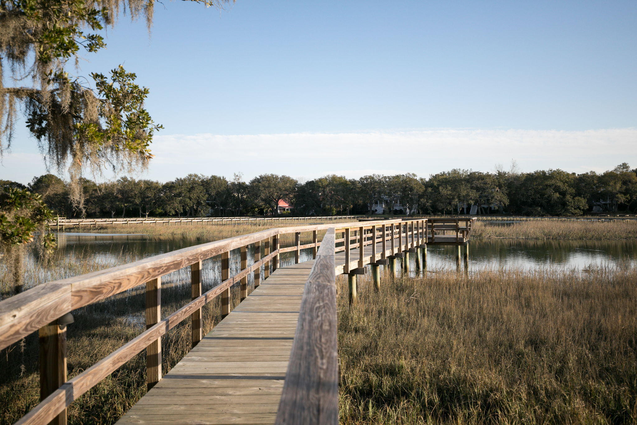 1122 John McEnery Road Charleston, SC 29412 - Photo 3 of 56 1122+John+McEnery+Rd+Charleston-53-web