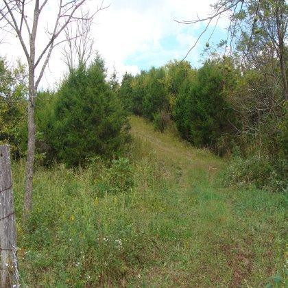 1 Back Creek Road Lancaster, KY 40444 - Photo 3 of 6 Photo 3