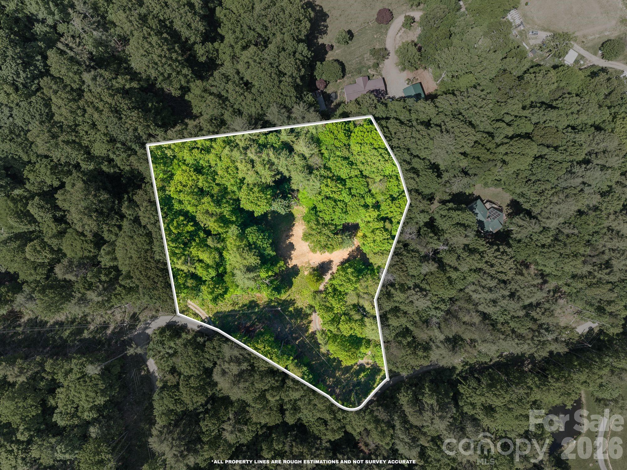 31 White Bridge Road Weaverville, NC 28787 - Photo 1 of 14