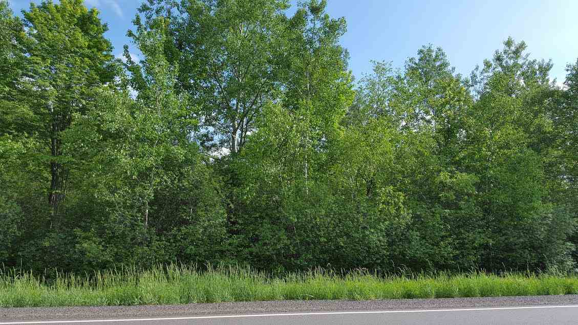 Lot 7 County Road Marshfield, WI 54449 - Photo 1 of 1