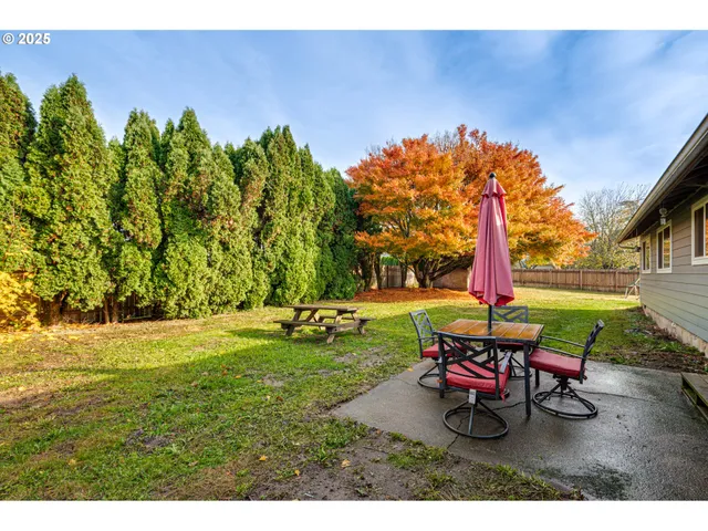 a view of a park with large trees