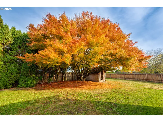 a view of swimming pool with an outdoor space