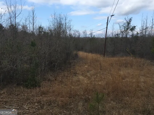 $335,000 | 0 Dennard-hardy Road, Gordon, GA 31031