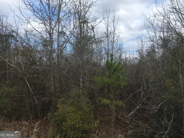 $381,000 | 0 Dennard-hardy Road, Gordon, GA 31031