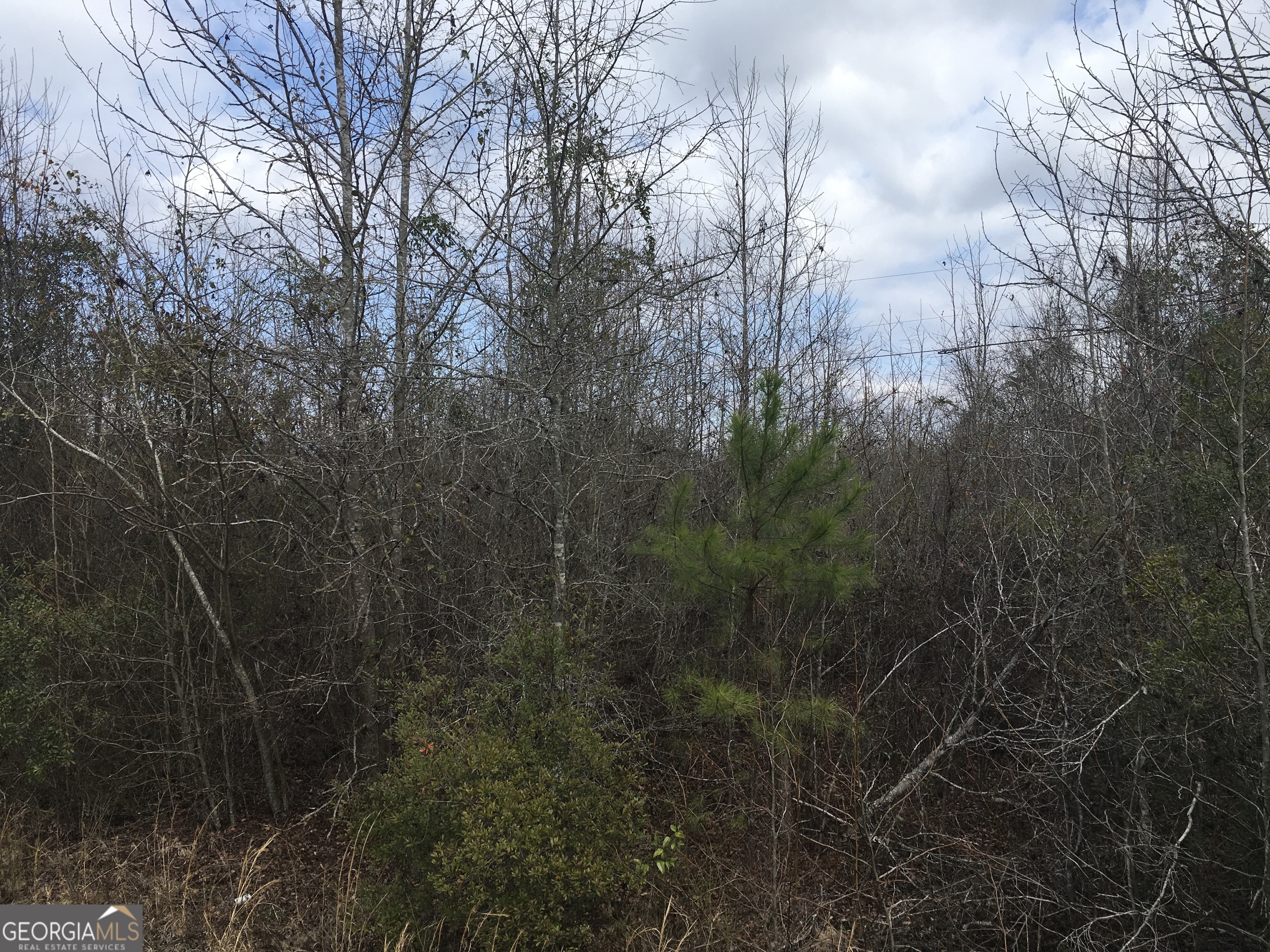 0 Dennard-hardy Road Gordon, GA 31031 - Photo 3 of 4