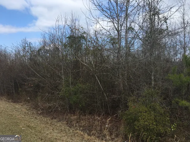 $381,000 | 0 Dennard-hardy Road, Gordon, GA 31031