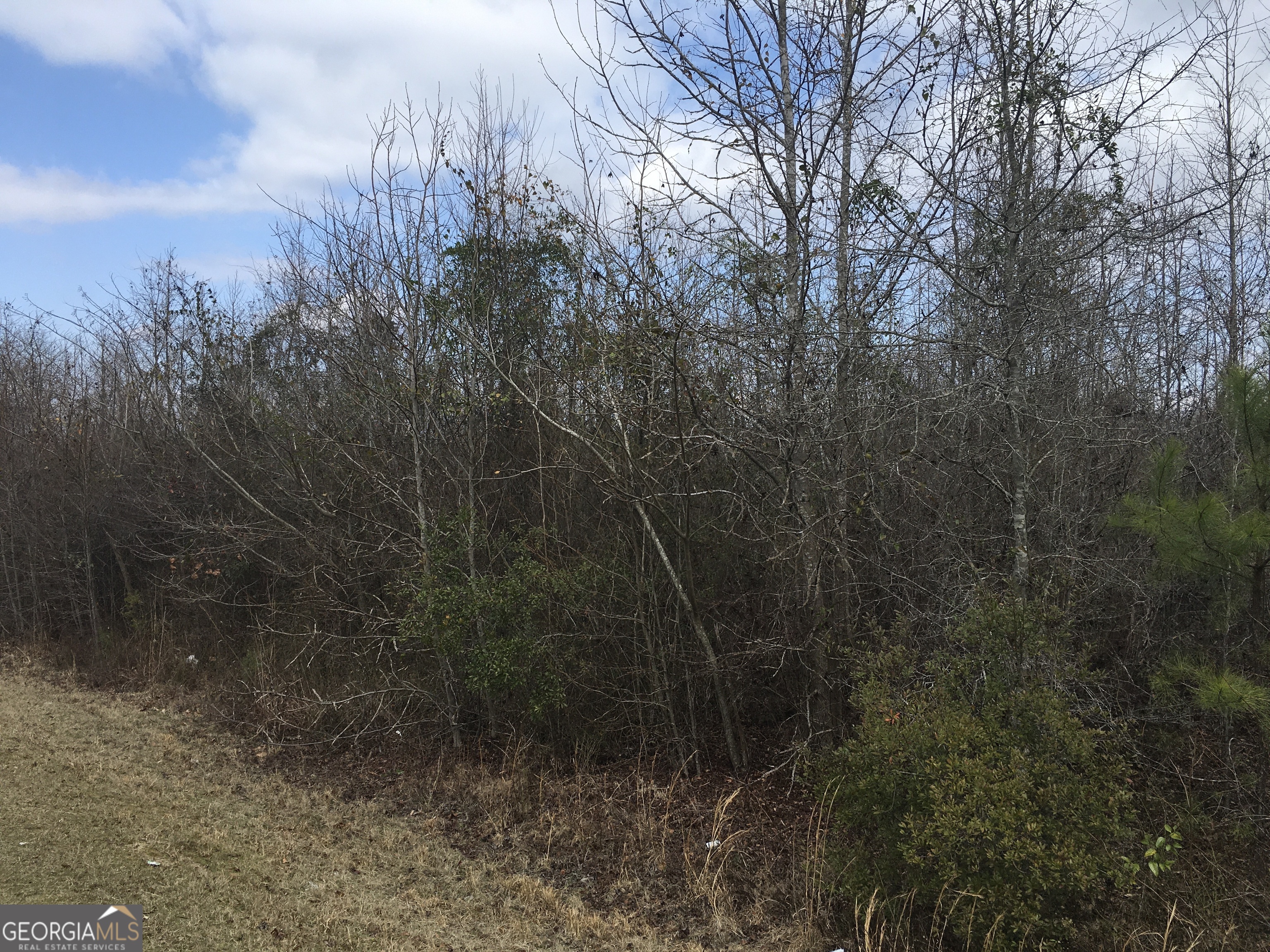 0 Dennard-hardy Road Gordon, GA 31031 - Photo 4 of 4