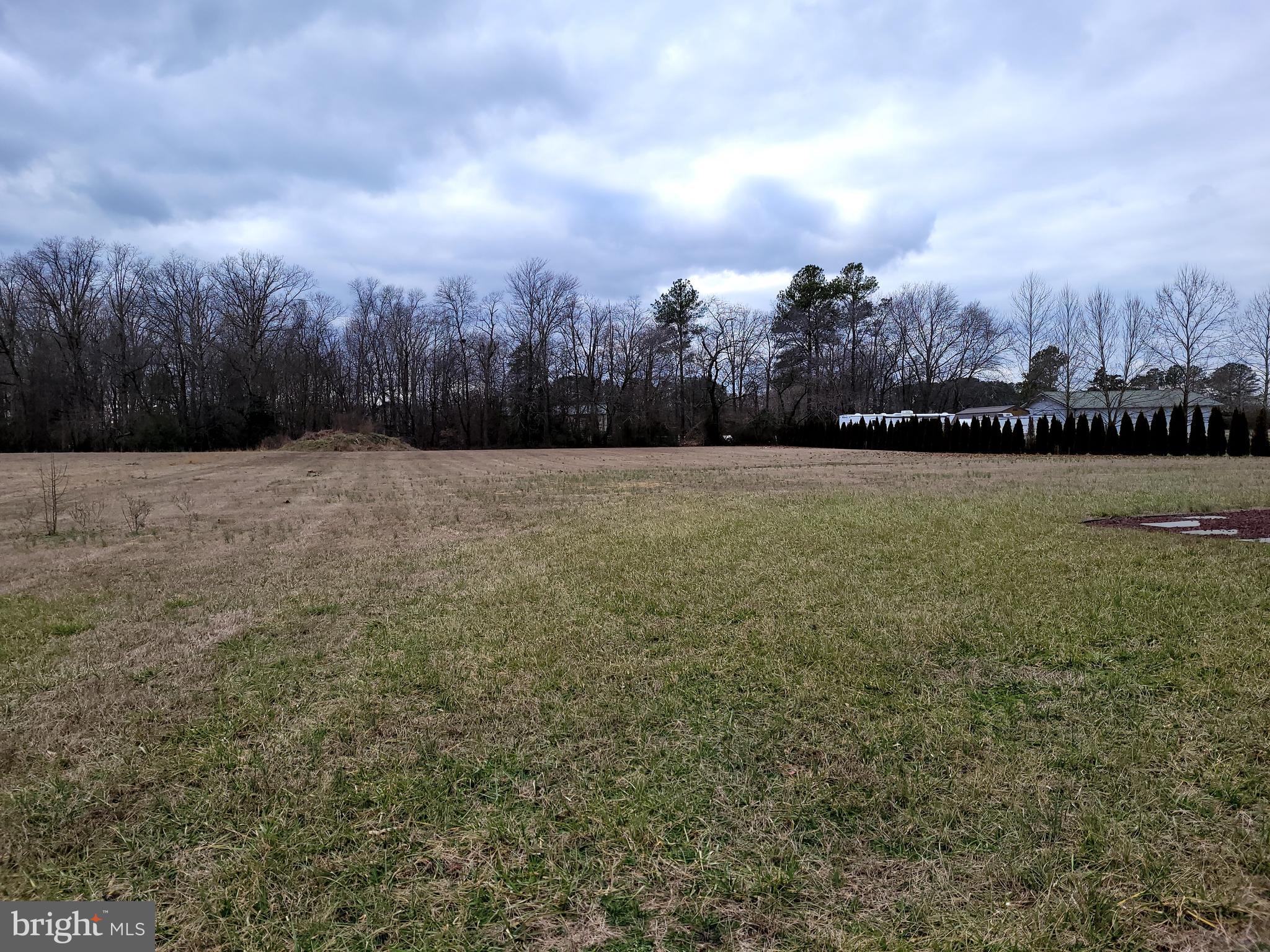 36386 Robin Hood Road Delmar, DE 19940 - Photo 23 of 24 1.42 acres to the tree area