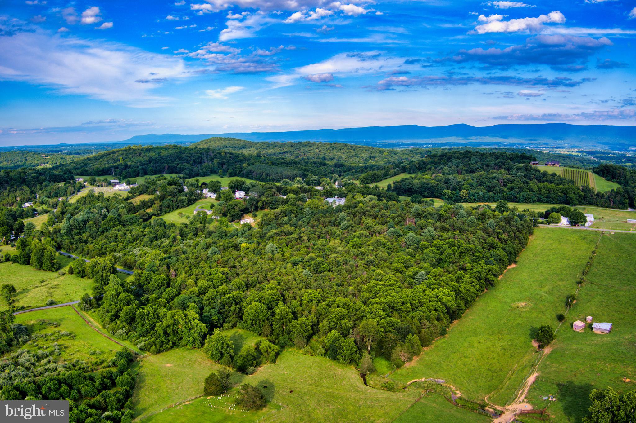 Tbd Jerome Road Mount Jackson, VA 22842 - Photo 4 of 8 Gallery Image 4