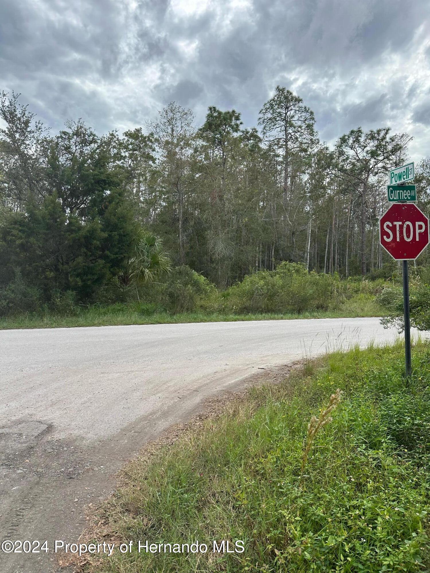 10608 Powell Street New Port Richey, FL 34654 - Photo 2 of 4 a view of a outdoor space