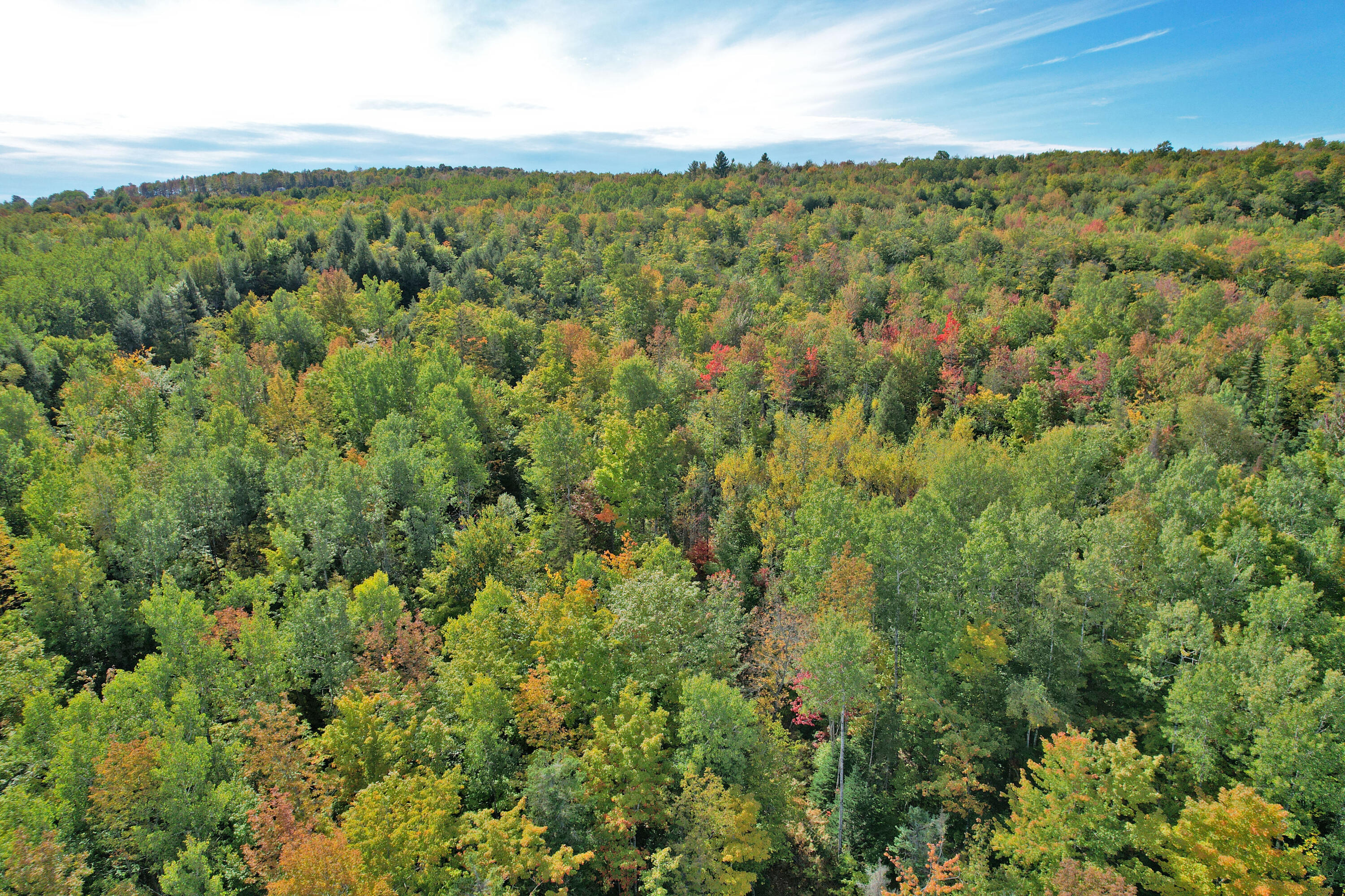 14-26 Larrabee Road Parkman, ME 04443 - Photo 12 of 15 dji_fly_20220925_145208_248_166413270704