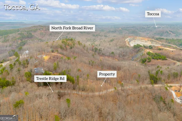 $30,000 | 0 Trestle Ridge Road, Toccoa, GA 30577