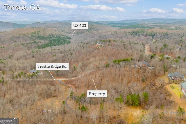 $30,000 | 0 Trestle Ridge Road, Toccoa, GA 30577