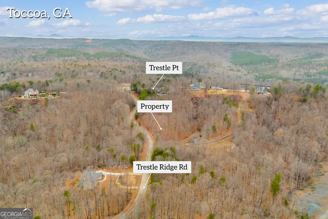 $30,000 | 0 Trestle Ridge Road, Toccoa, GA 30577